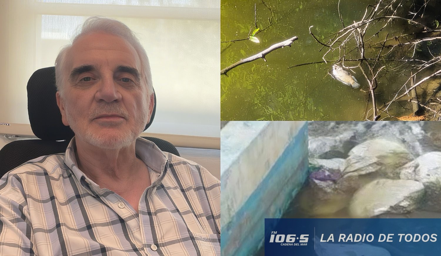 Jesús Bentancur arroyo