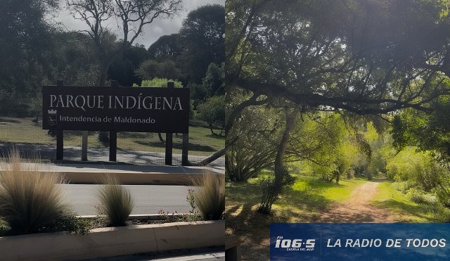 Parque Indígena Maldonado 