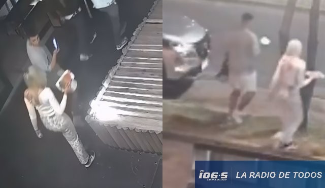 Robo cartera box garden