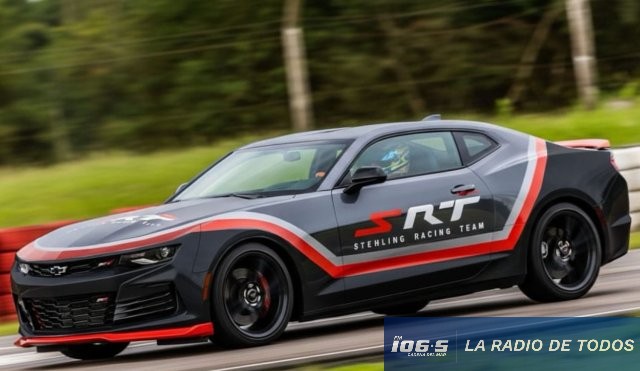 Automovilismo Maldonado stheling 