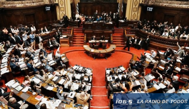 cámara de diputados