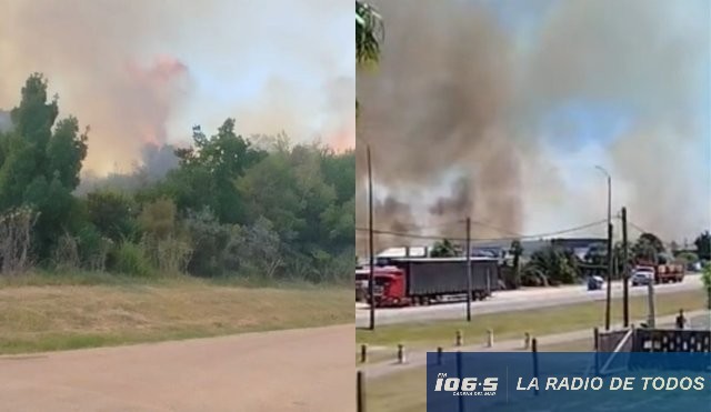 Incendio Zanja de Chávez 