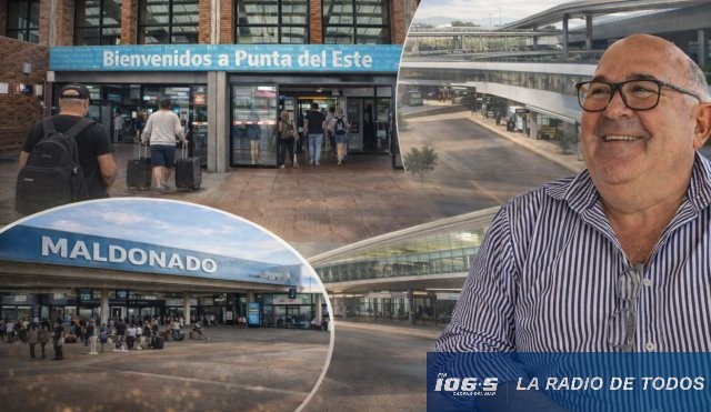 Abella terminales IA