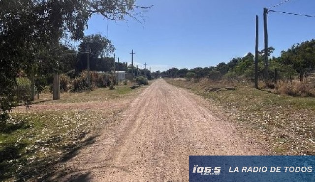 Usurpación sauce Portezuelo 