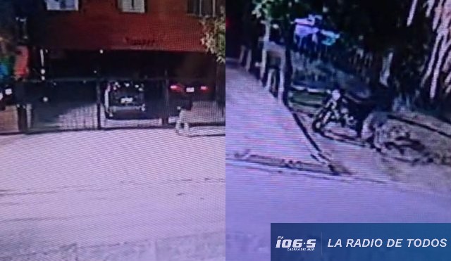 Delincuentes robaron moto 