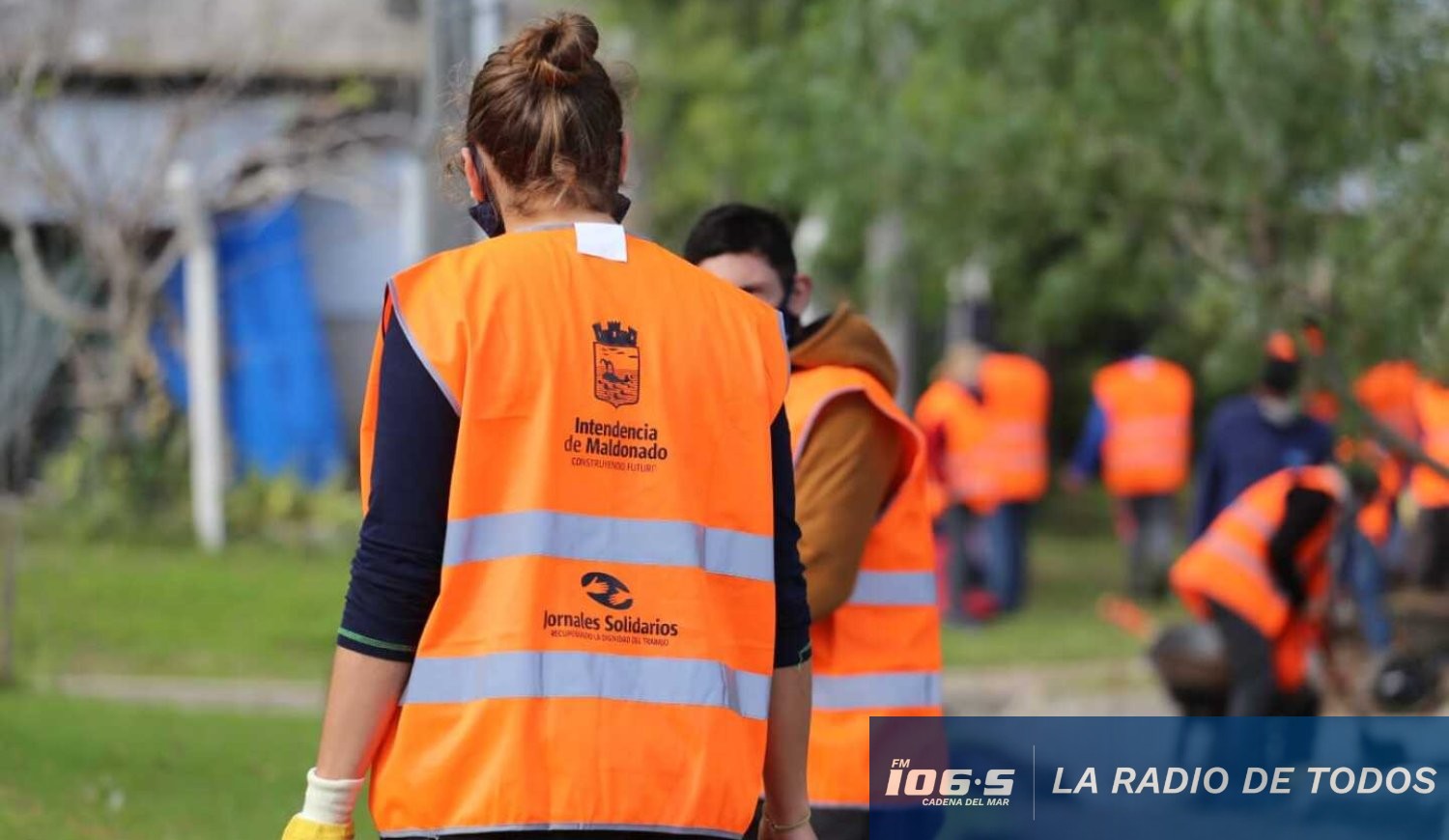 oportunidad laboral maldonado