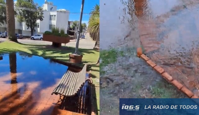 Reclamo vecinal fuga de agua 