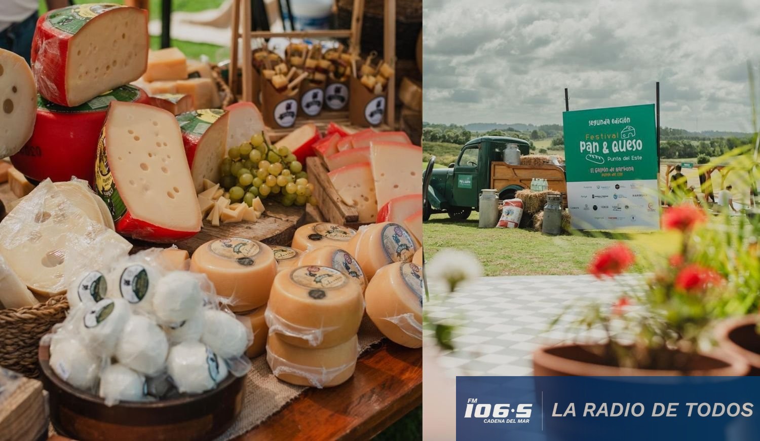 festival pan y queso