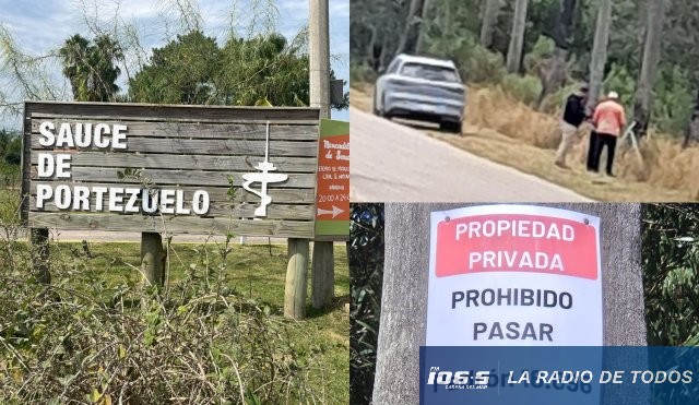 SAUCE DE PORTEZUELO (1)