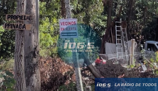 SAUCE DE PORTEZUELO (3)