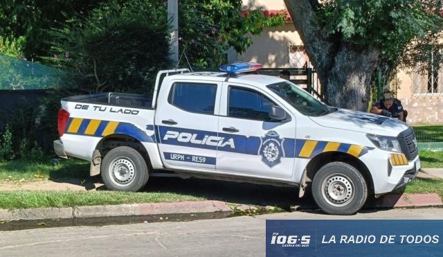 POLICIAL 2