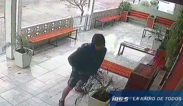 vandalización las palmas