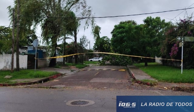 Maldonado Nuevo Temporal