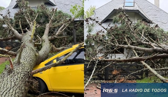 Avenida Francia viento