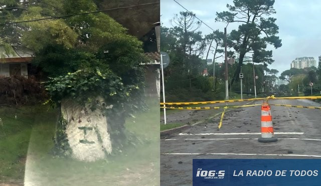 Marly y Cantegril temporal