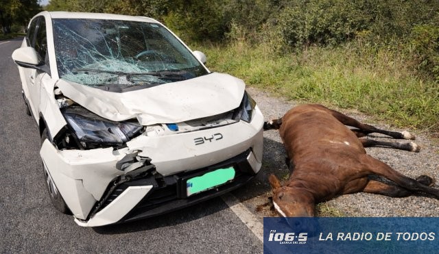 Caballo muerto San Carlos 