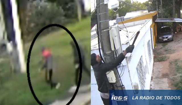 Lavalleja cámaras daños 