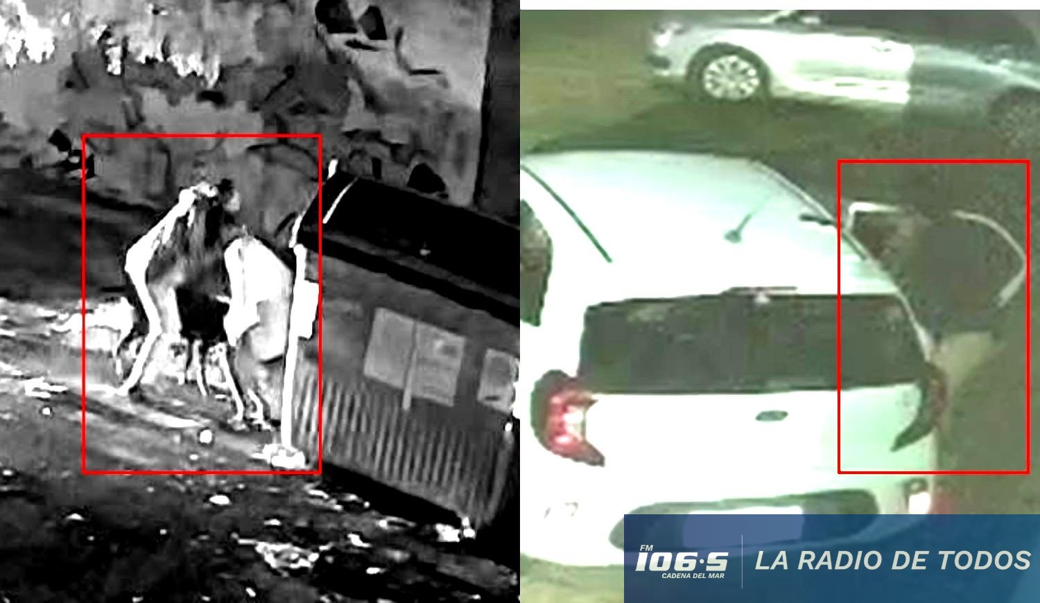 Defecando en Maldonado 