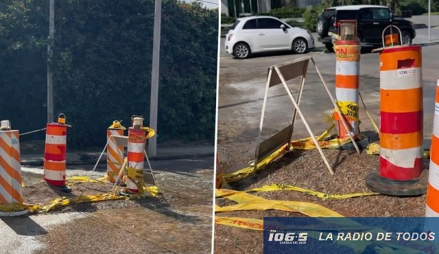 Miami Orlando pedragosa 