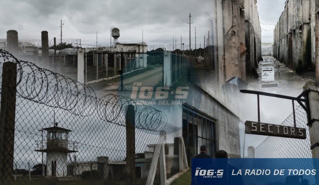 Las Rosas 