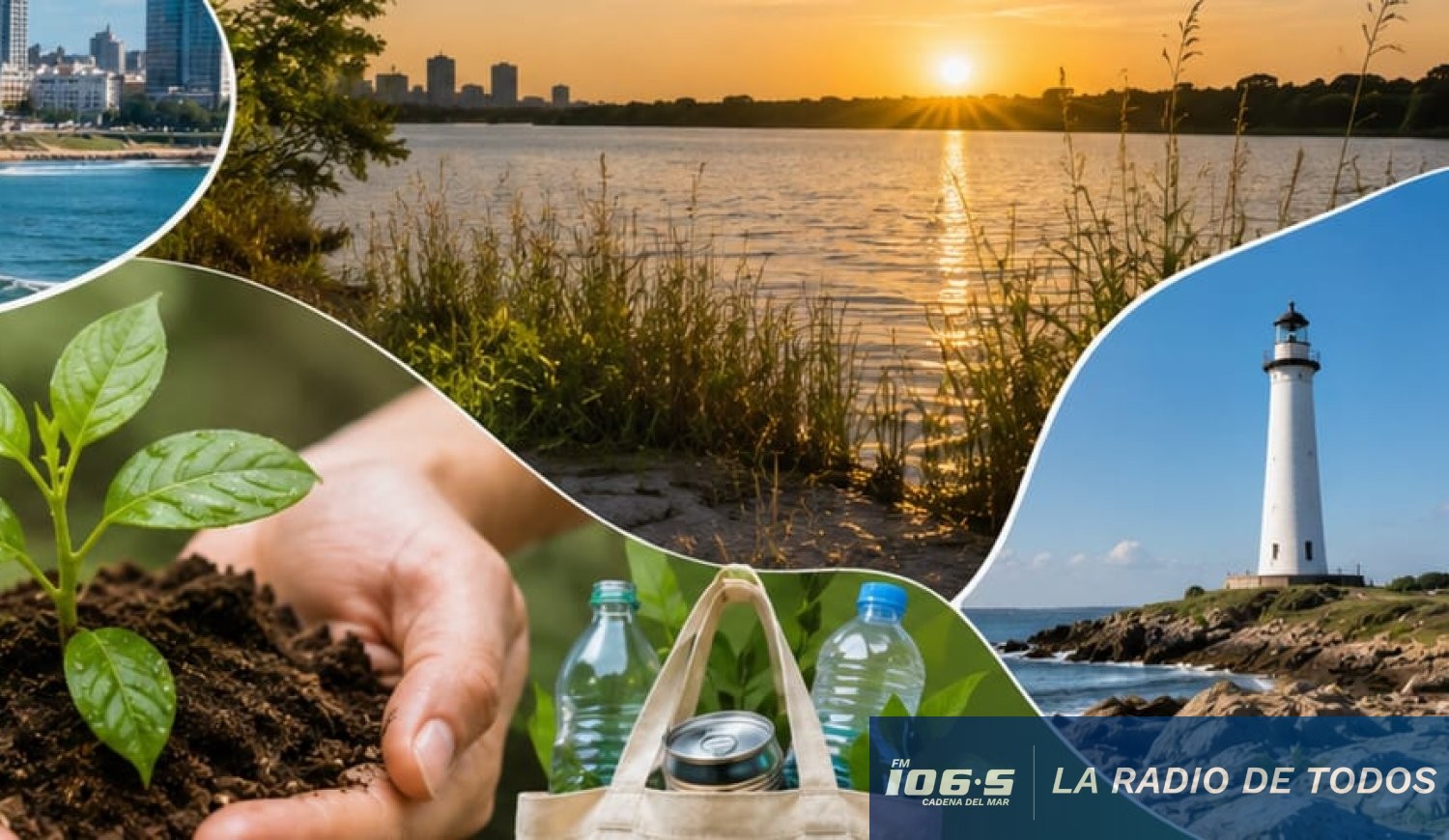 medioambiente