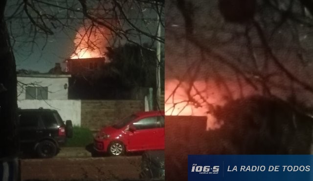 Incendio (Cerro Pelado): Bomberos combate un foco de gran magnitud.
