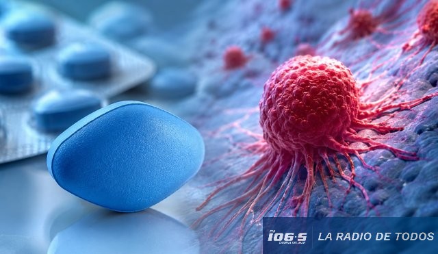 Viagra (investigación): fármaco para disfunción eréctil frenaría propagación del cáncer.