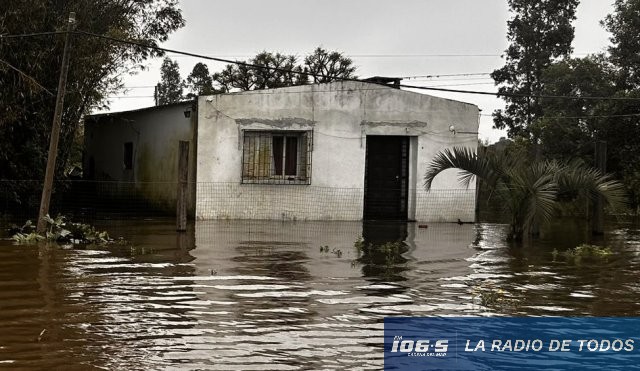 Inundación eucaliptos 