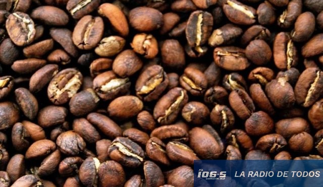 cafe el niño