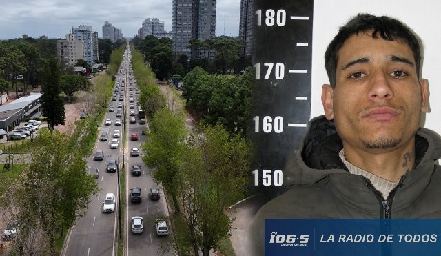 Roosvelt Auto Avenida 