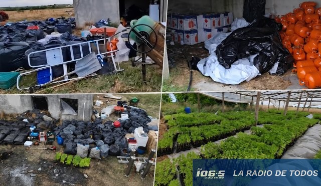 narco brasileño