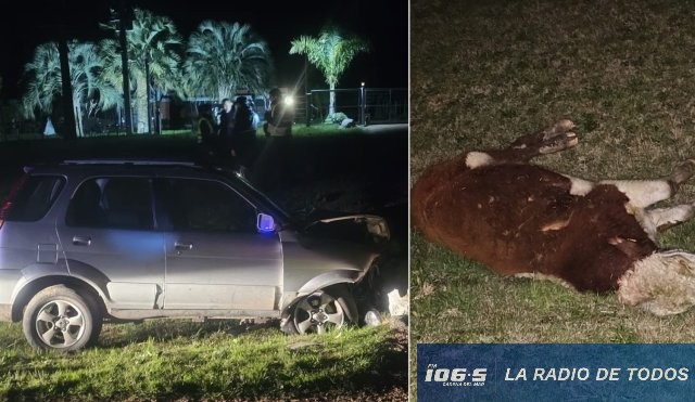 Siniestro fatal (Ruta 39): Policía confirma que la persona fallecida es un hombre de 80 años.
