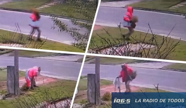 Vandalismo barrio arboleda