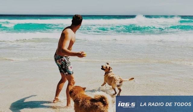 CUIDADO CANINO ESP