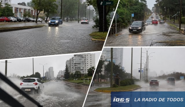 Lluvias Maldonado 