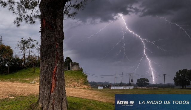 Árbol rayo defensor 