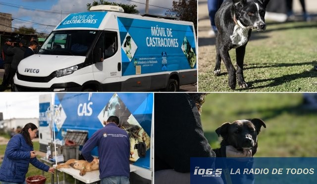 castración 