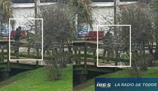 Maldonado (Bulevar Artigas): vecinos registraron pelea frente al refugio.