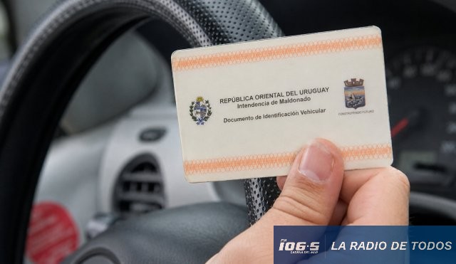 Permiso conducir licencia 