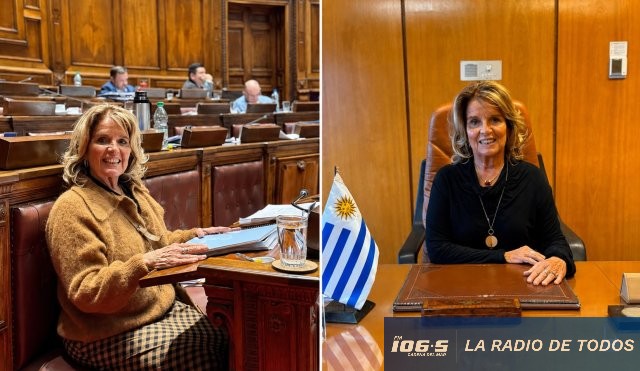 maria sara baroffio