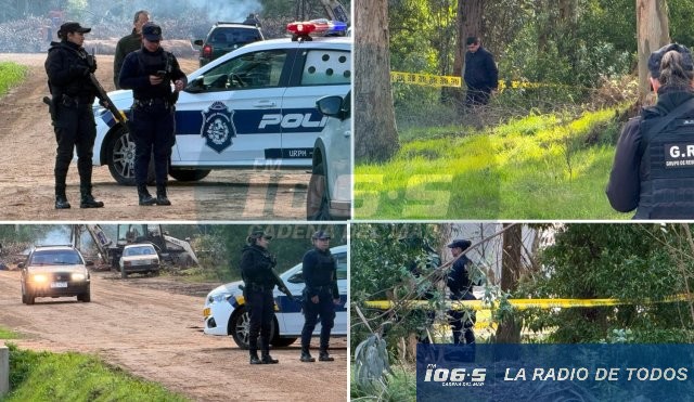 Tragedia (Maldonado): dos hombres fallecieron tras caerles la copa de un árbol mientras dormían en una carpa.