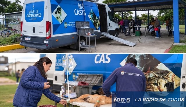 castra 