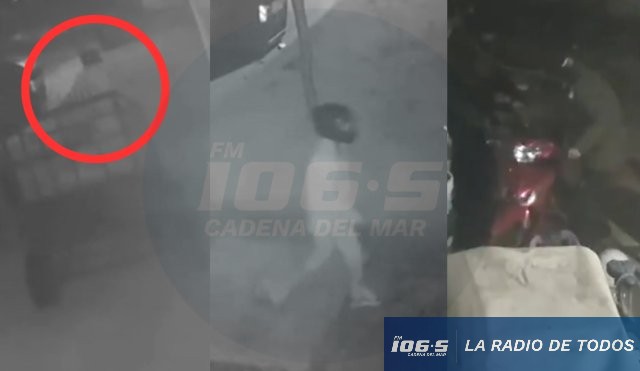 Robo de moto (Maldonado): cámaras captan cuando delincuente se lleva el birrodado.