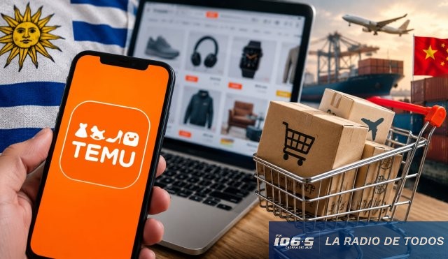 Compras Web (exterior): operaciones diarias cayeron 62% tras cambios que impactaron en Temu.