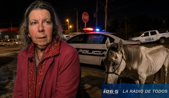 Rita Colombo incautación 