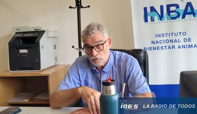Álvaro Buscarons (Director INBA): 