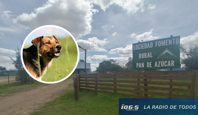 Sociedad Fomento Rural (Pan de Azúcar): realizan jornada informativa por aumento de ataques de perros.